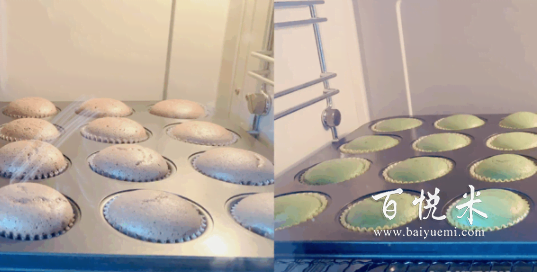 三種口味的迷你小蛋糕，一口一個松軟好吃，出游必備